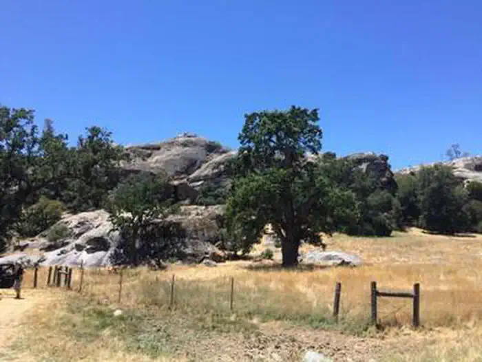 MEMORIAL CAMPGROUND photo
