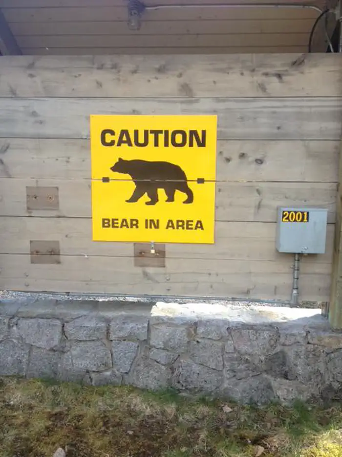 MENDENHALL CAMPGROUND photo 4