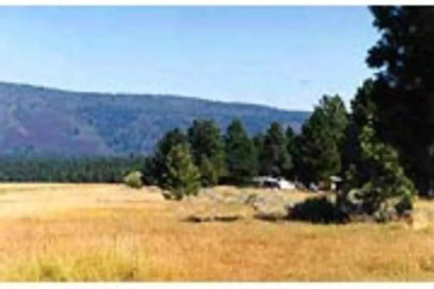 MERRILL CAMPGROUND photo 4