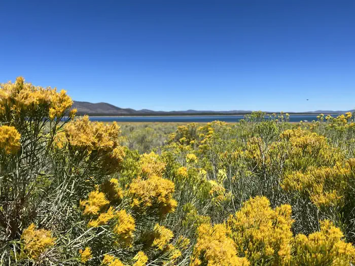 MERRILL CAMPGROUND photo 5