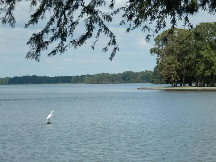 MERRISACH LAKE photo 3