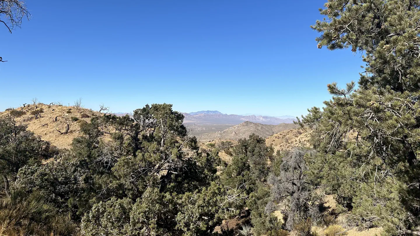 Mid Hills Campground photo