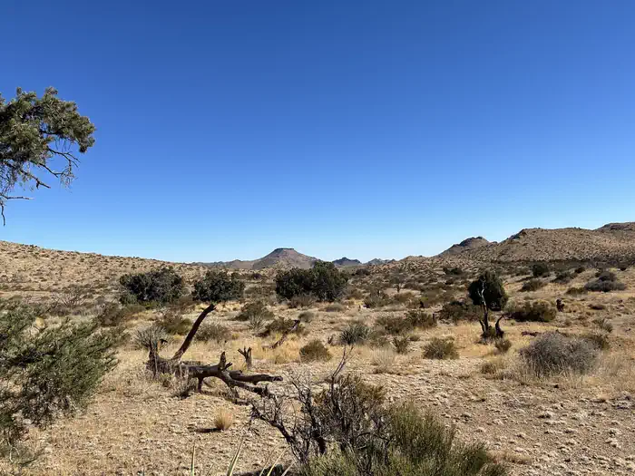 Mid Hills Campground photo 2