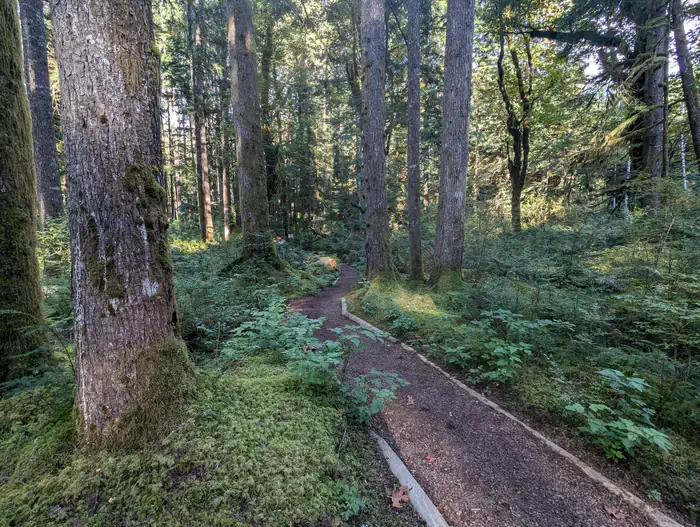 Middle Fork Campground photo 2