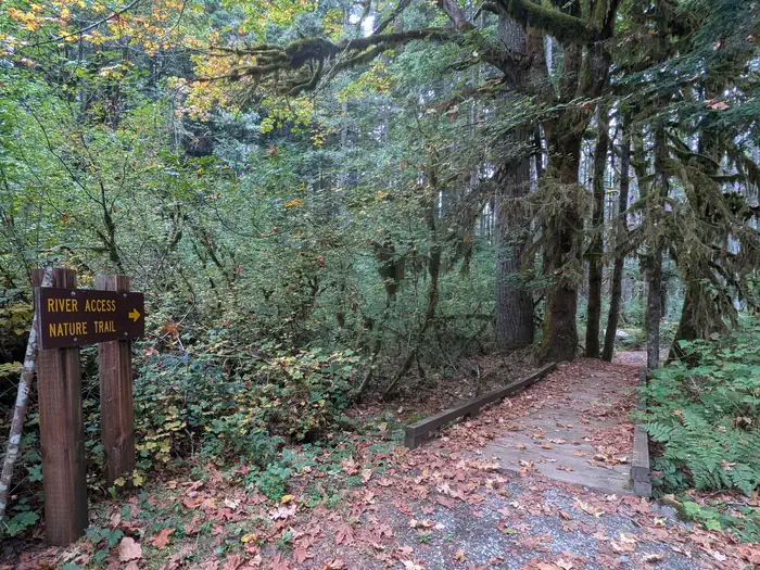 Middle Fork Campground photo 3