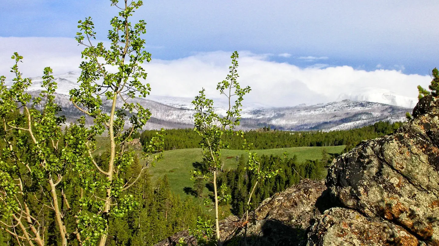 MIDDLE FORK photo