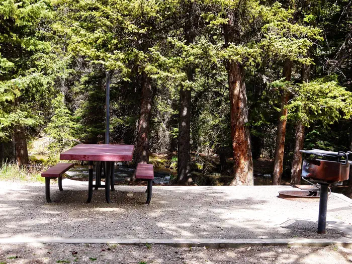 MIDDLE FORK photo 3