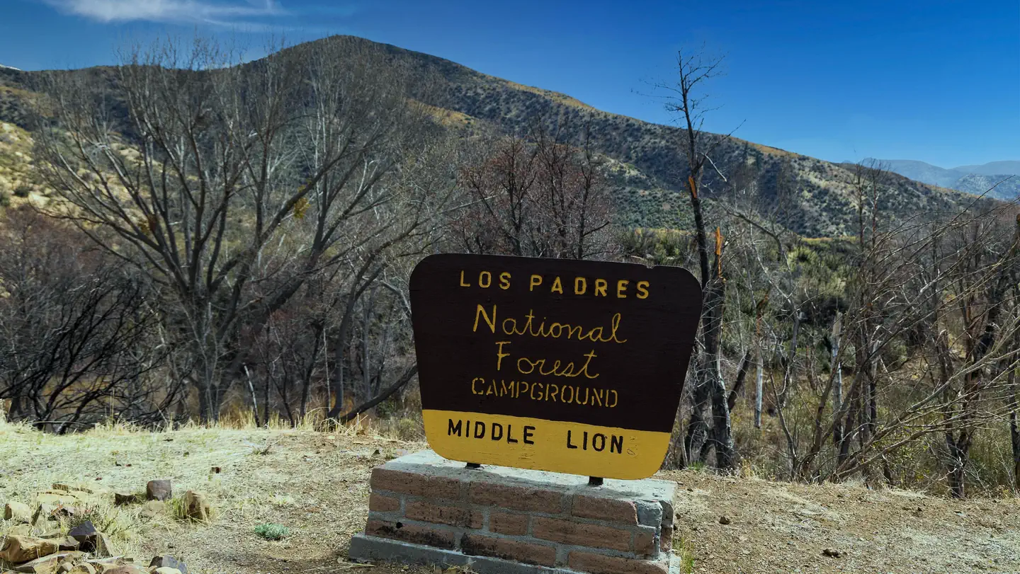 MIDDLE LION CAMPGROUND photo
