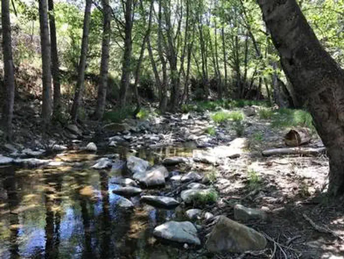 MIDDLE LION CAMPGROUND photo 3
