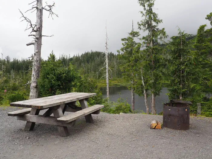 MIDDLE RIDGE CABIN photo 3