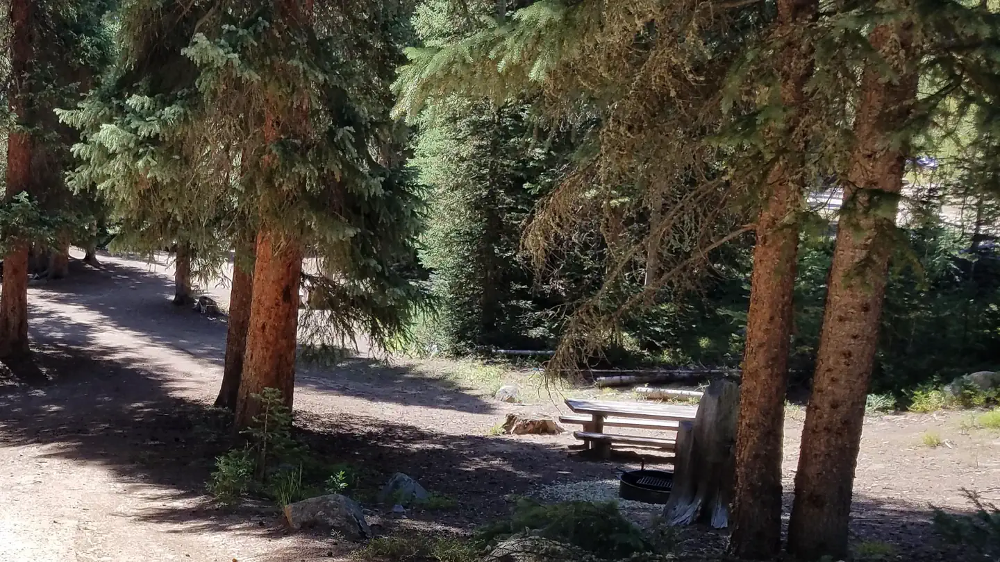 Midland Group Campground photo