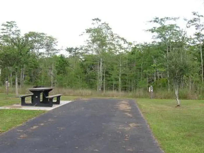 Midway Campground (FL) photo 2