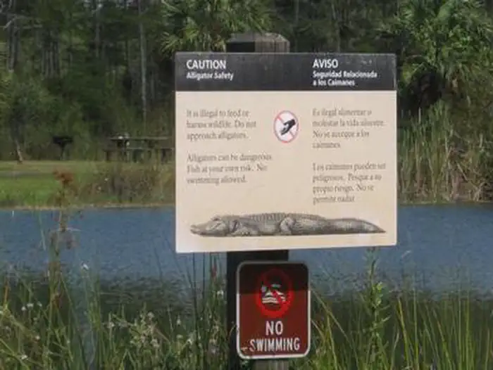 Midway Campground (FL) photo 3