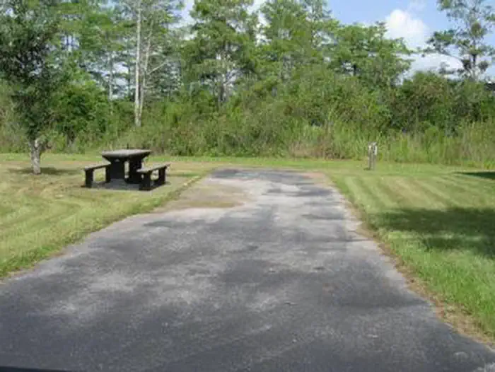 Midway Campground (FL) photo 5