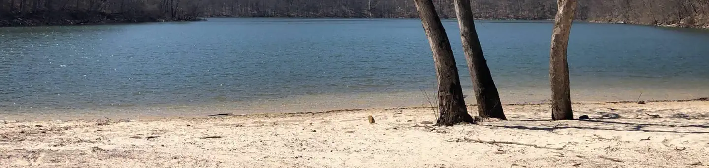 MILL RUN RECREATION AREA photo