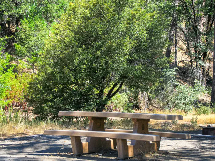 Mill Valley Campground photo 2