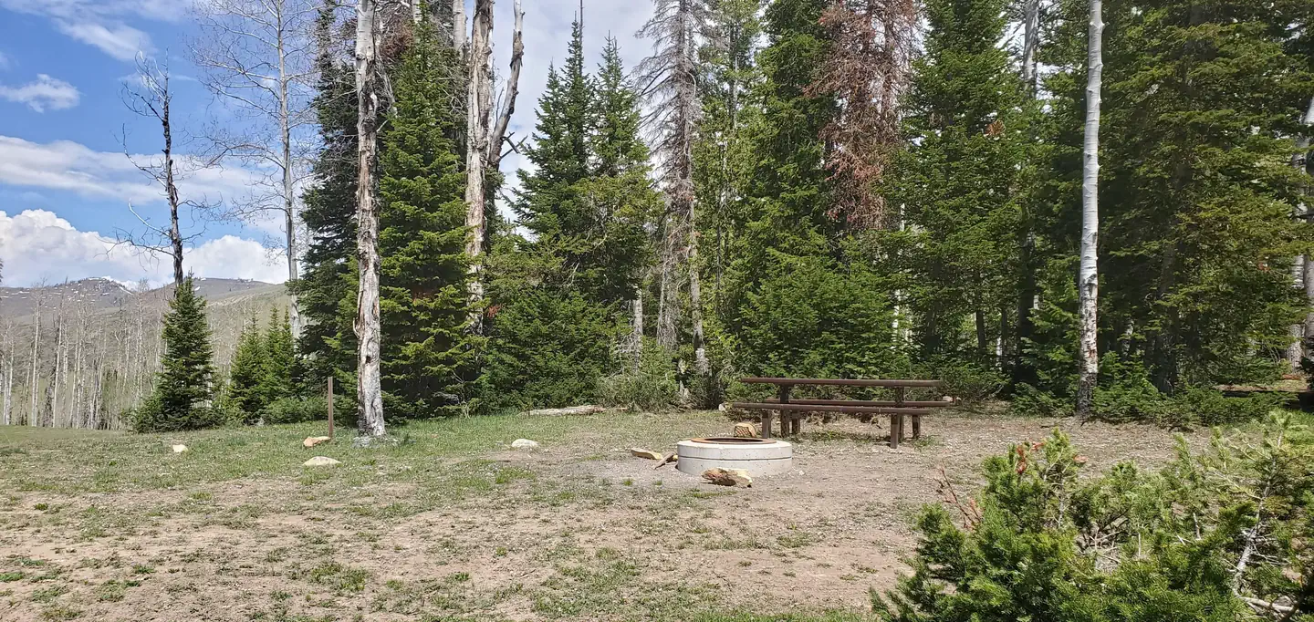 MILLER FLAT RESERVOIR CAMPGROUND photo 4