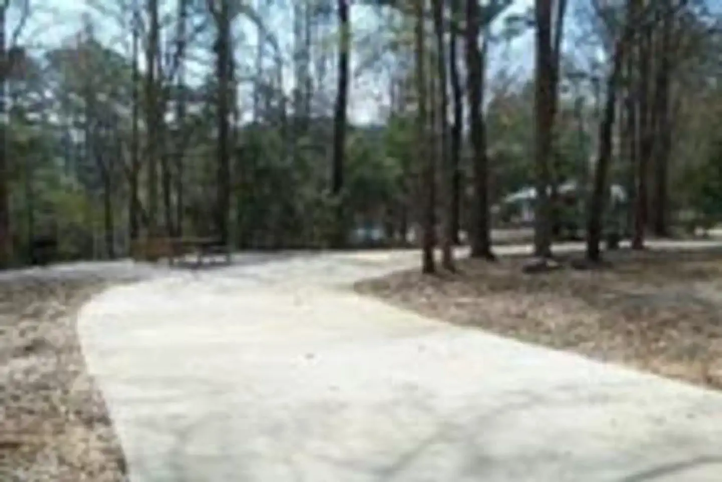 MILLERS FERRY CAMPGROUND photo 3