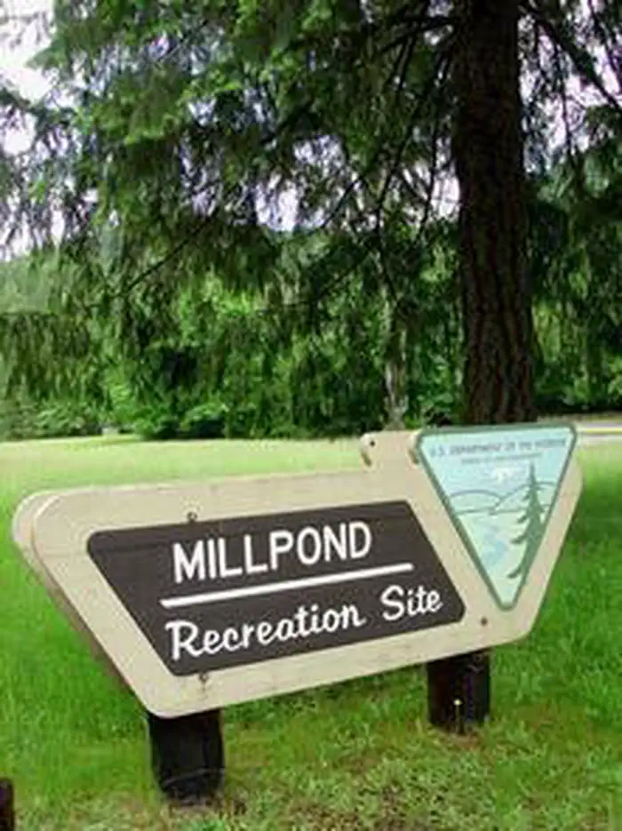 MILLPOND PAVILION photo 4