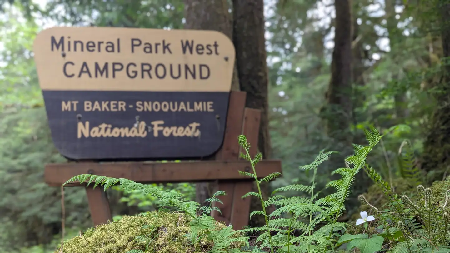 Mineral Park Campground photo