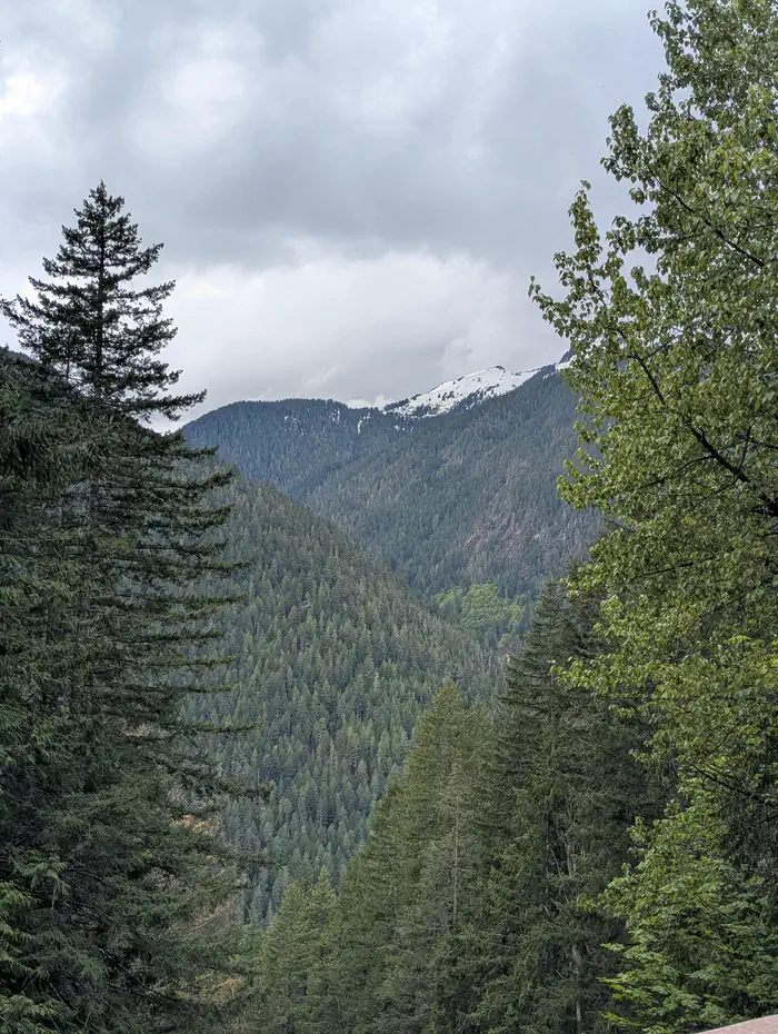 Mineral Park Campground photo 2