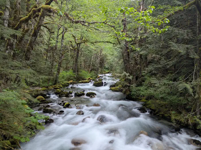 Mineral Park Campground photo 3