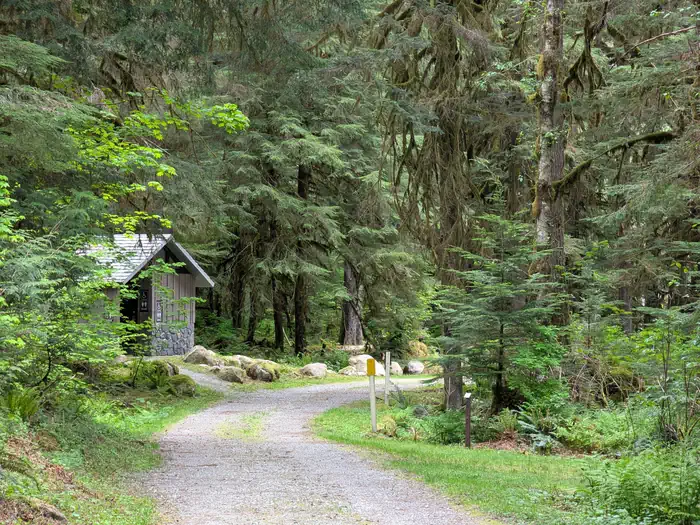 Mineral Park Campground photo 4
