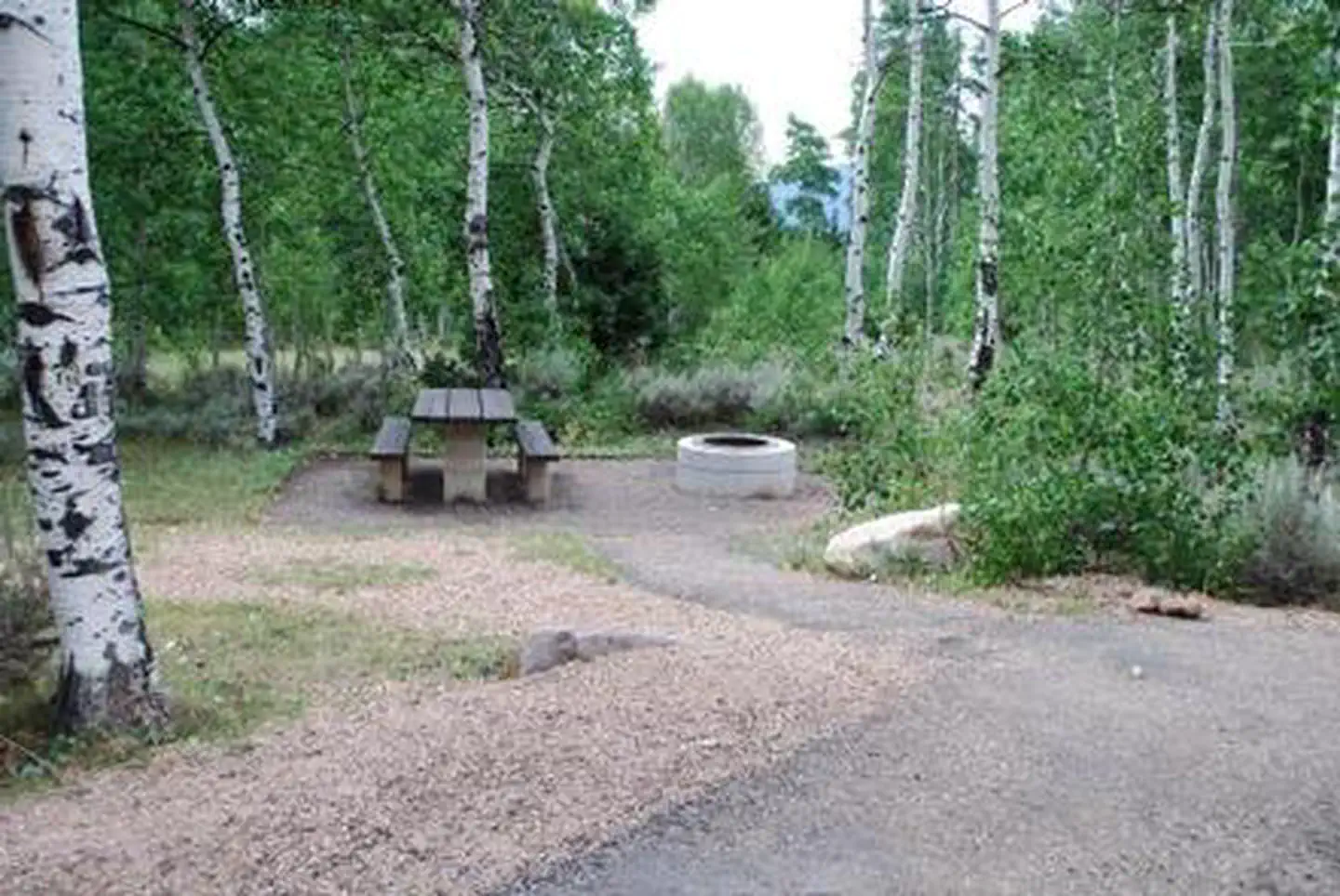 MINERS GULCH photo 5