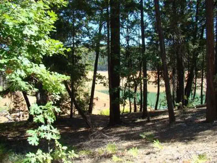 MINERSVILLE CAMPGROUND photo 2