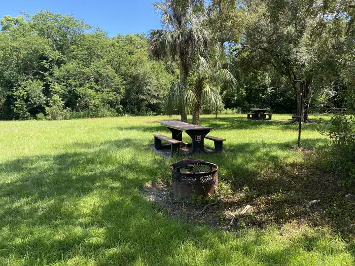 Mitchell Landing Campground photo 2