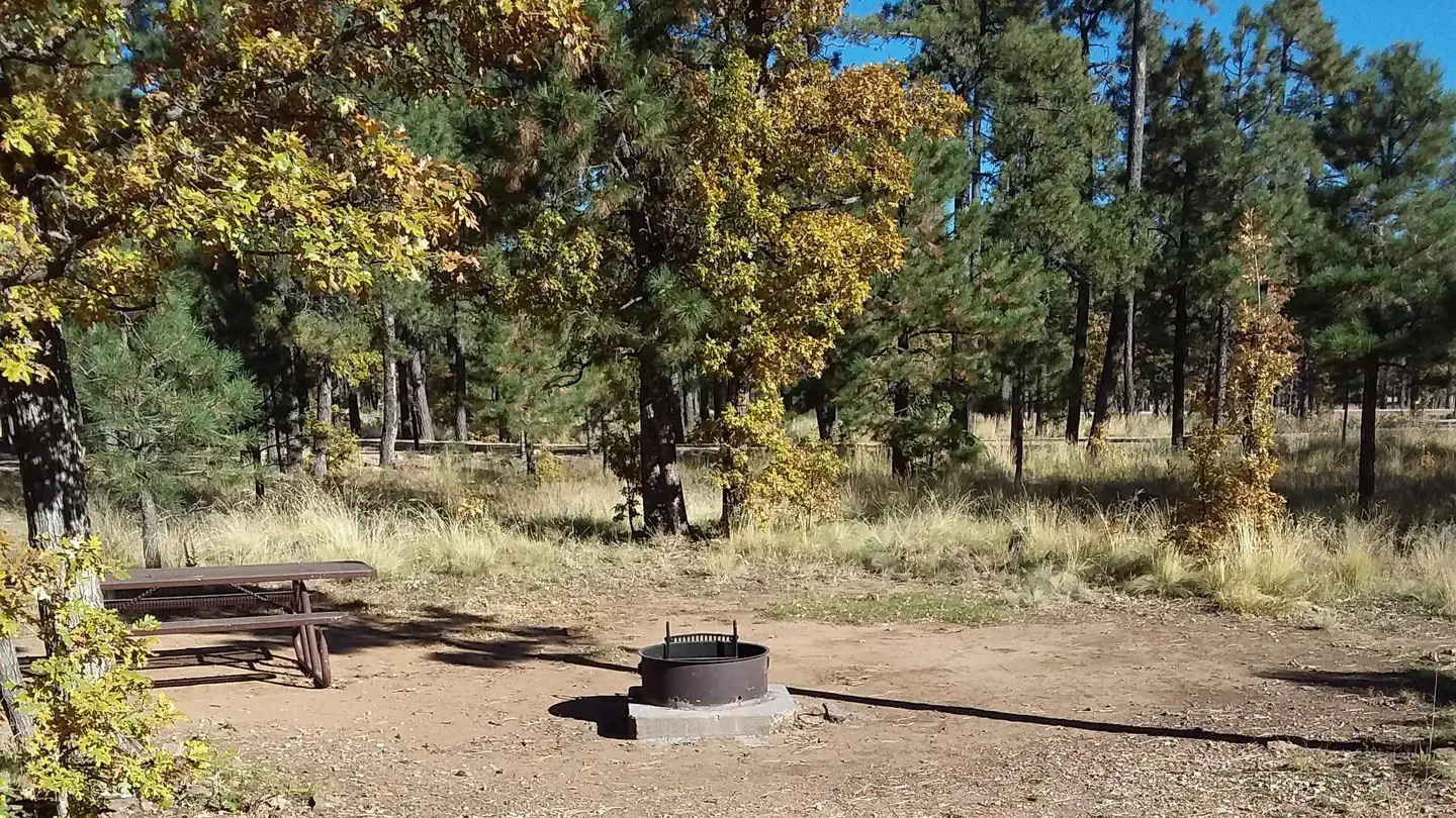 MOGOLLON CAMPGROUND photo
