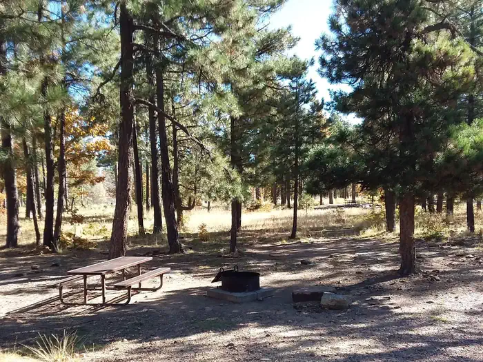 MOGOLLON CAMPGROUND photo 3