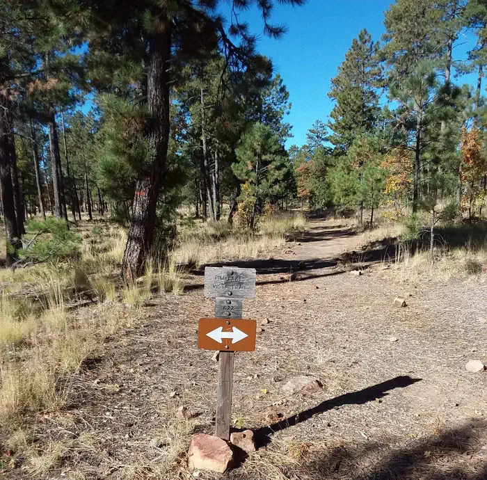 MOGOLLON CAMPGROUND photo 4