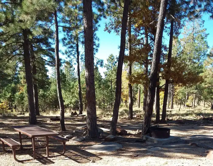 MOGOLLON CAMPGROUND photo 5