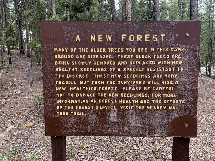 MOLLY BROWN photo 3