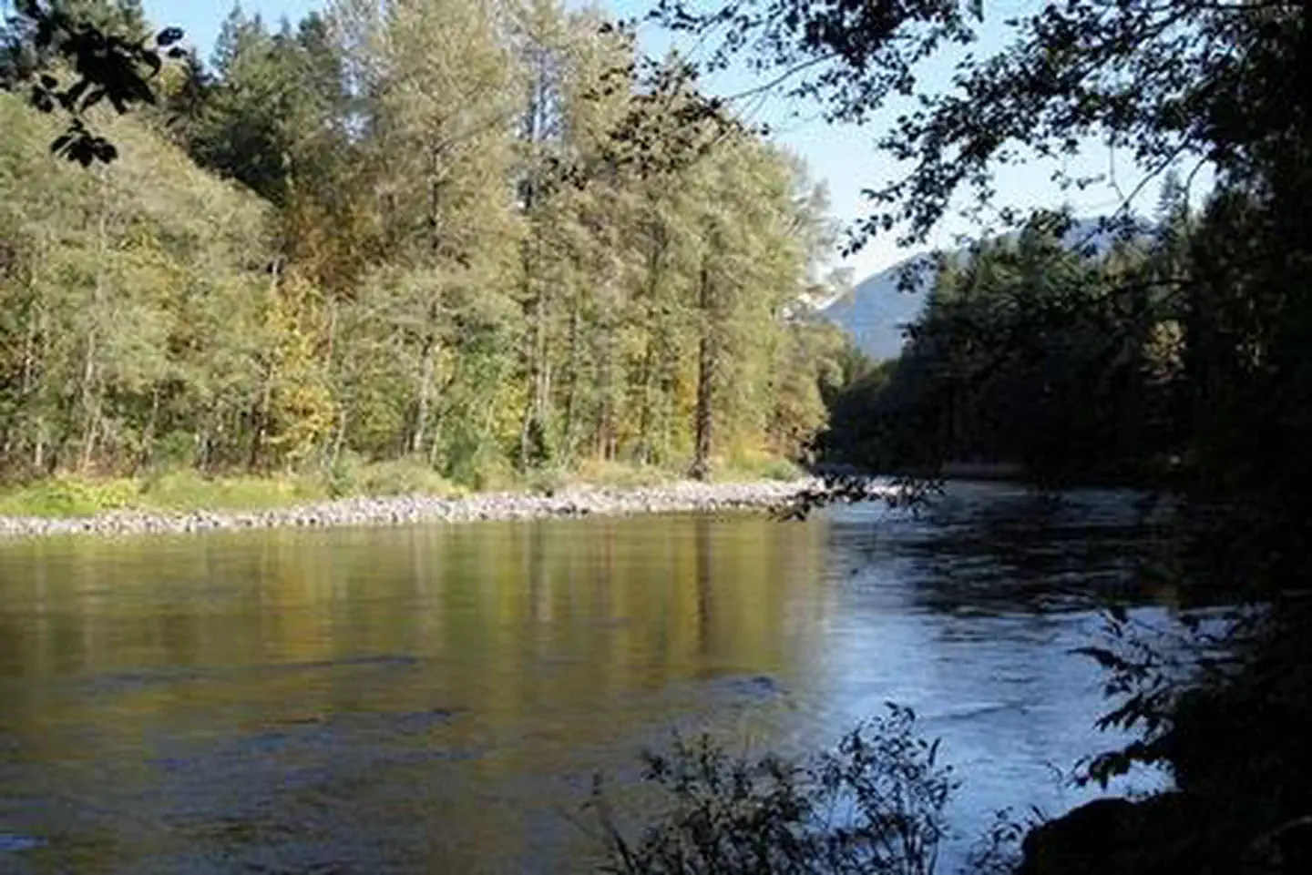 Money Creek Campground photo 2