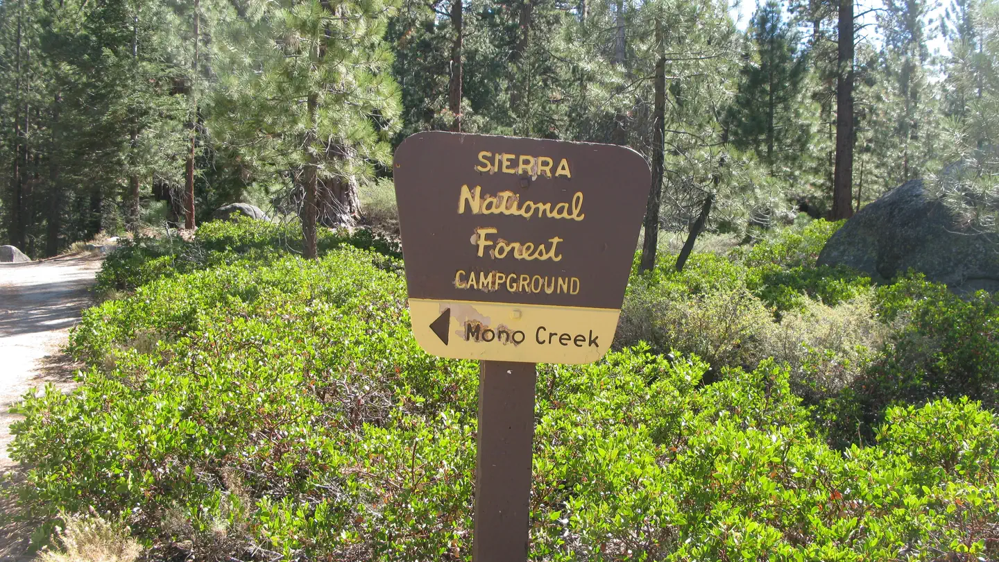 MONO CREEK photo
