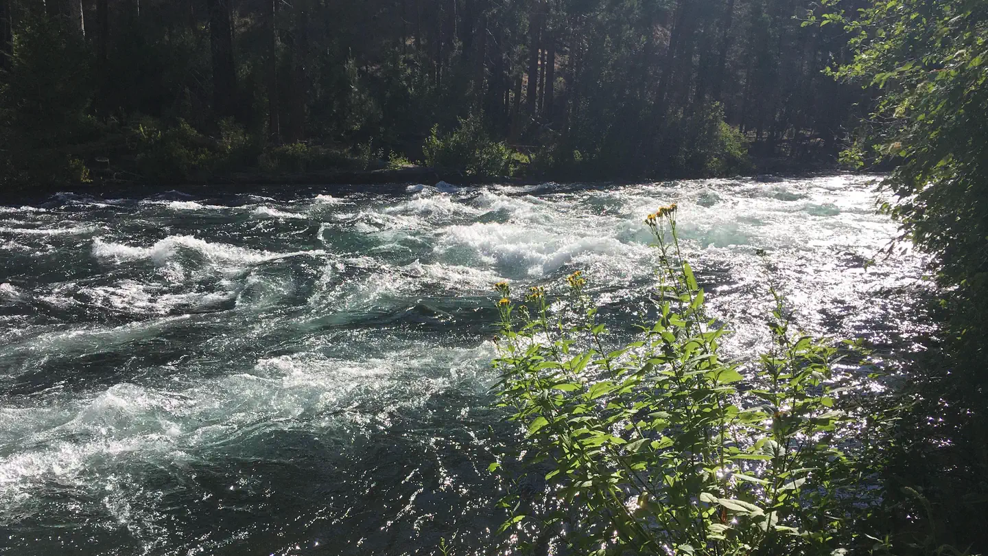 MONTY CAMPGROUND photo