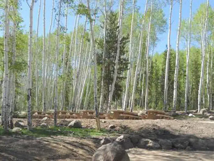 MOON LAKE GROUP CAMPGROUND photo 2