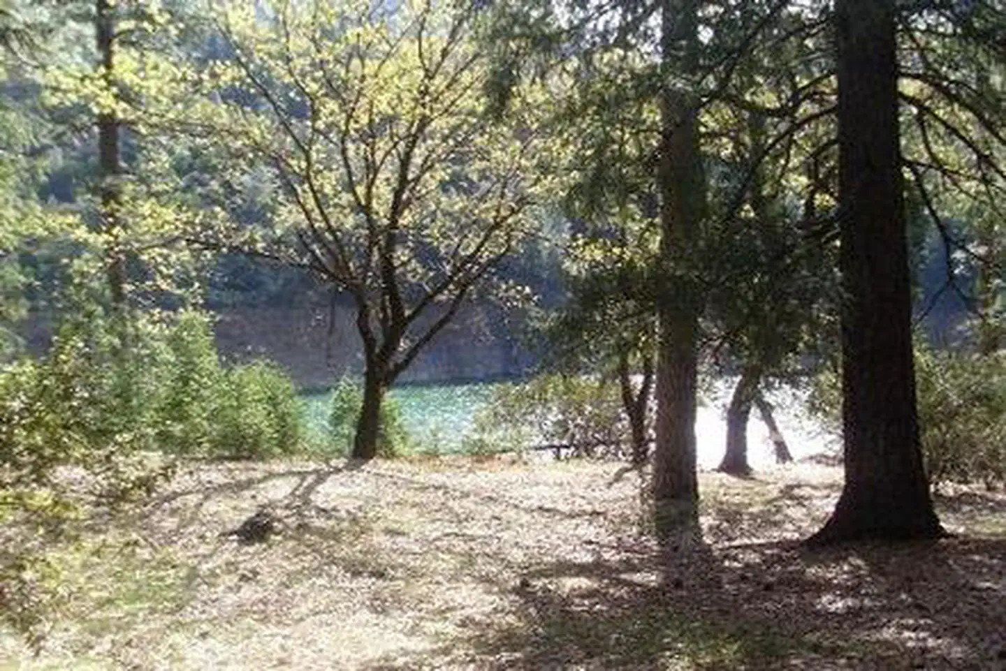 MOORE CREEK photo 2