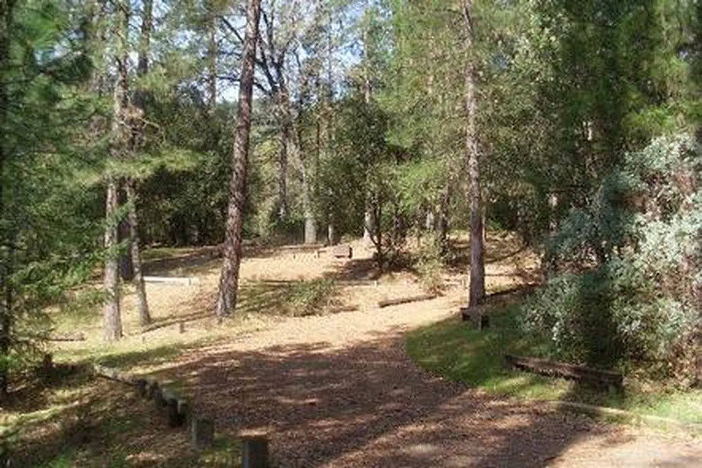 MOORE CREEK photo 4