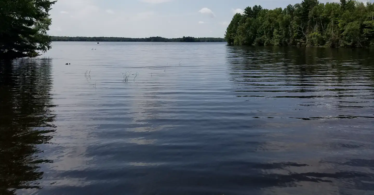 MOOSE LAKE photo