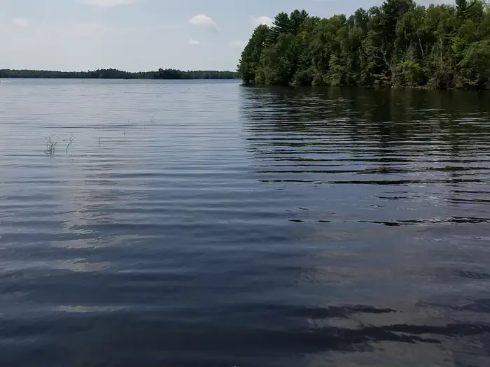 MOOSE LAKE photo 2