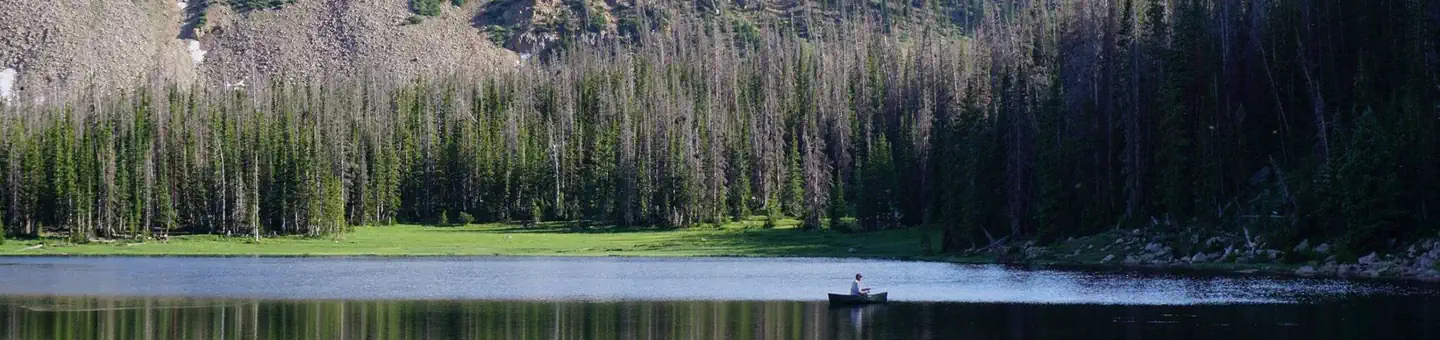 MOOSEHORN photo
