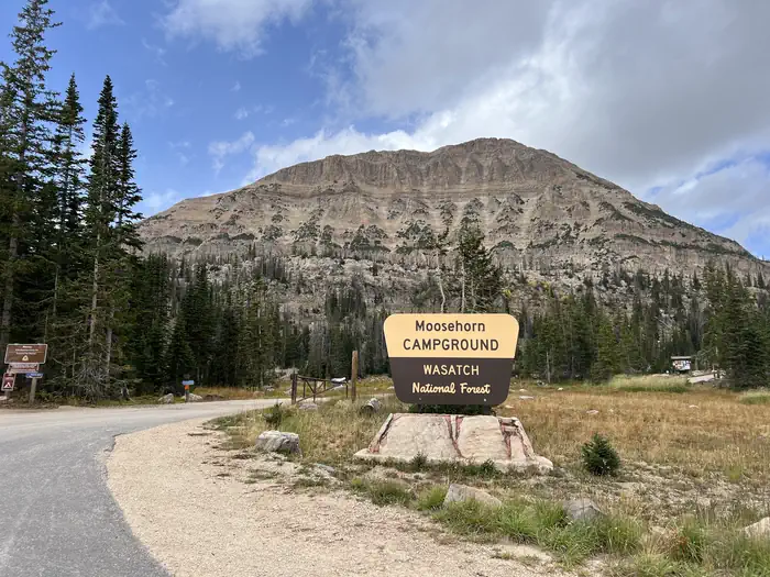 MOOSEHORN photo 3