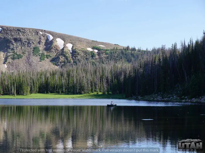 MOOSEHORN photo 4