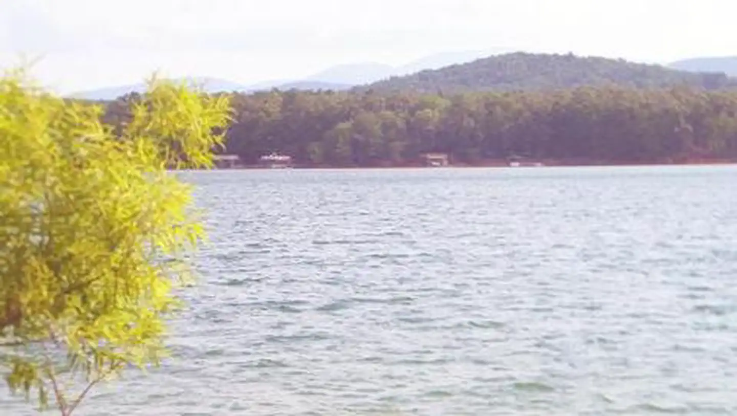 MORGANTON POINT photo 3