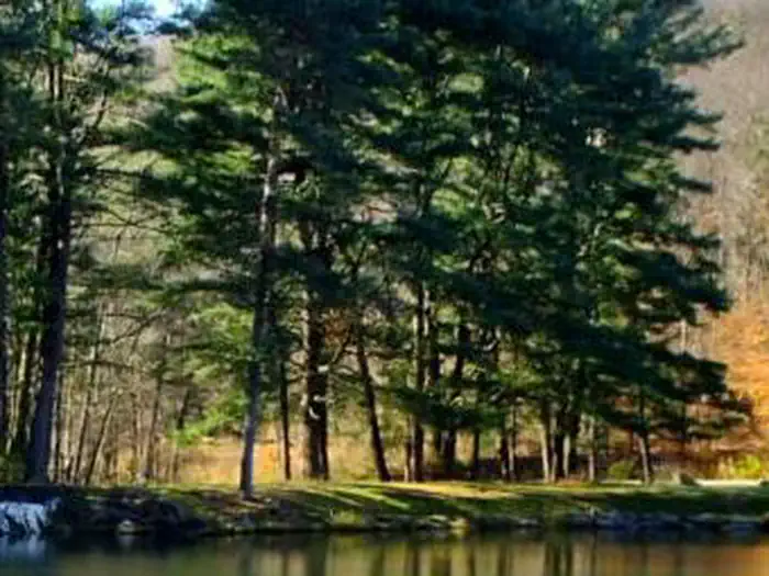 Morrison Boat Access Campground photo