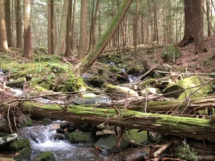 Morrison Boat Access Campground photo 2