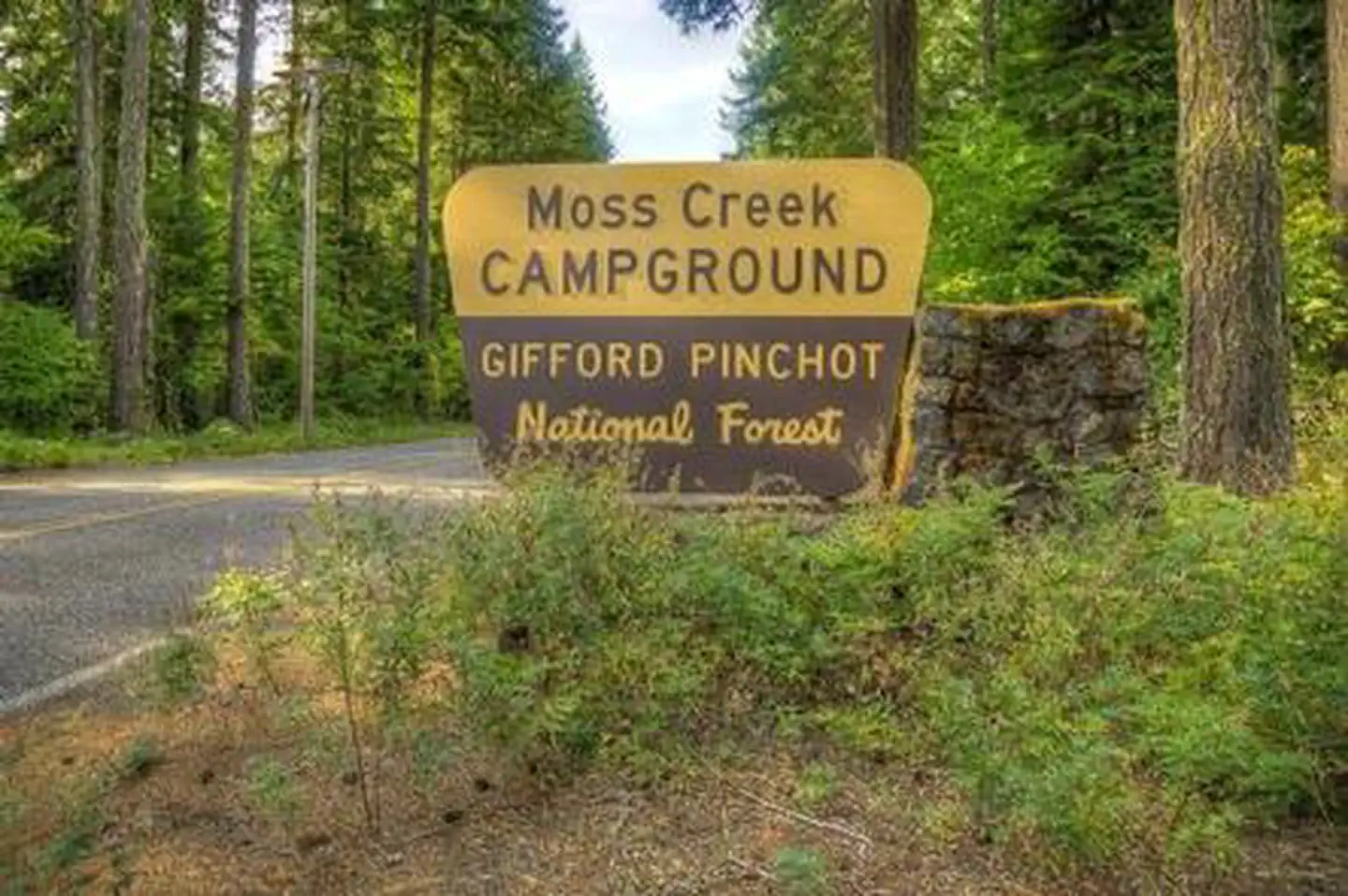 Moss Creek campground photo 2